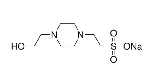 Captura de pantalla 2026-04-16 a les 12.05.25